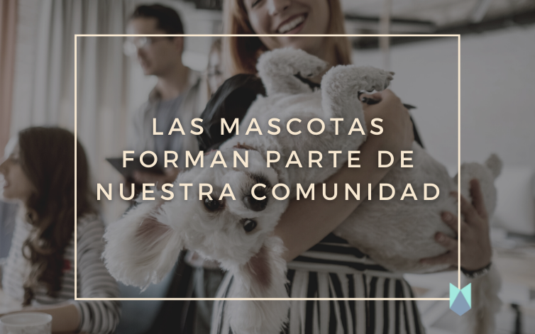 6 reglas básicas para una comunidad con mascotas