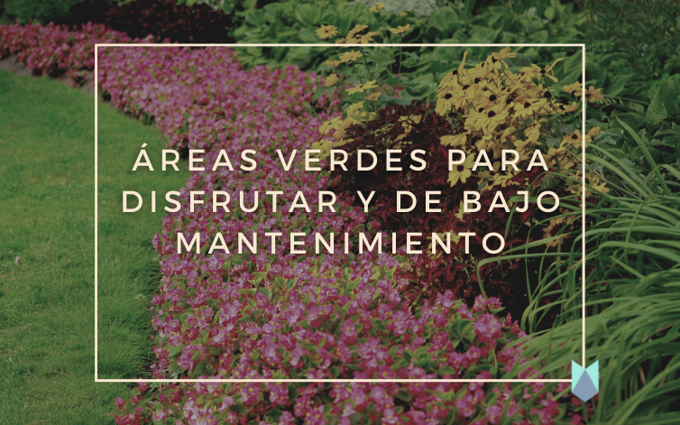 Administración de Fraccionamientos en Monterrey