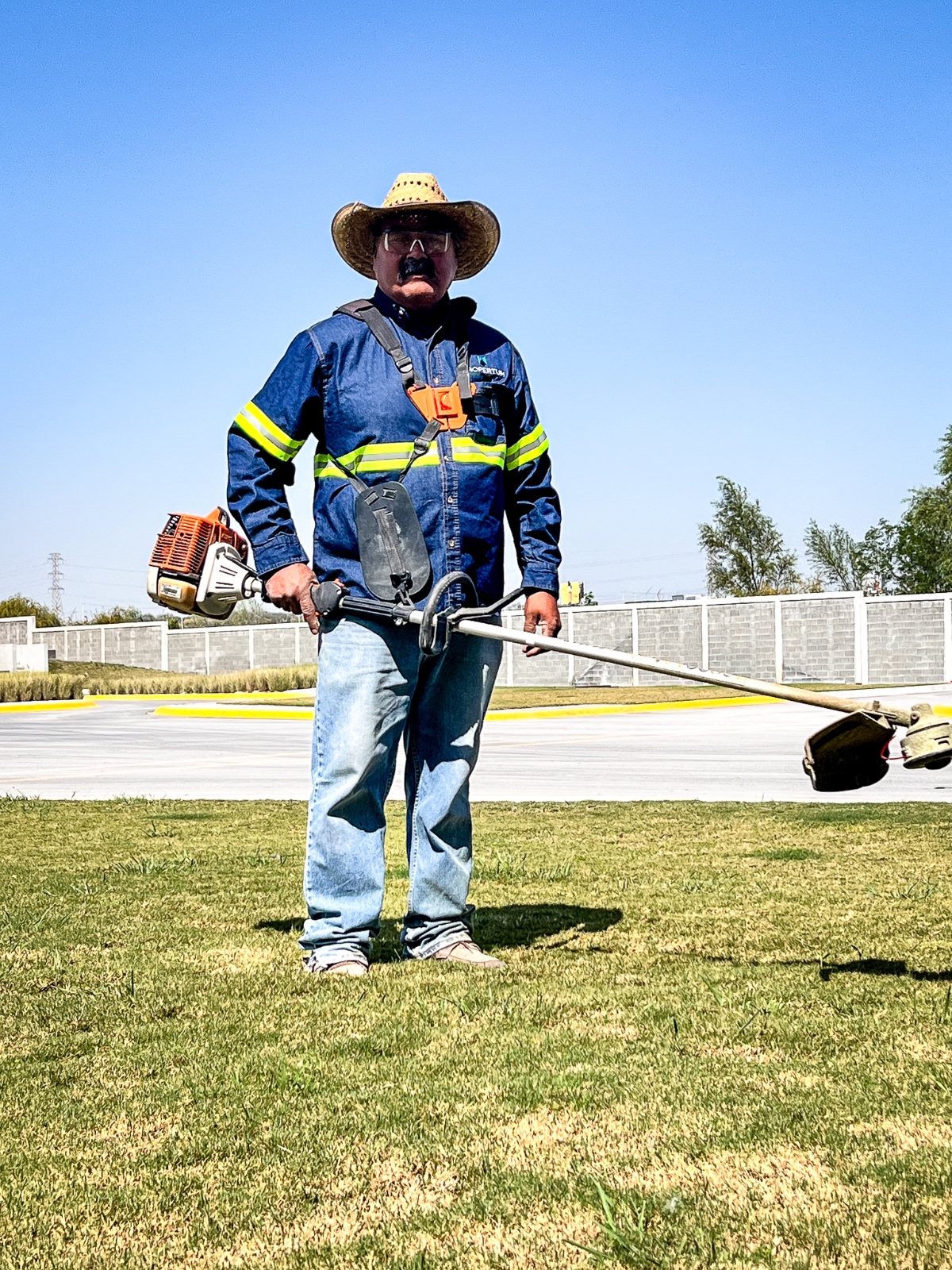 mantenimiento a areas verdes